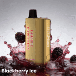 Double Happiness Hype 12000 Puffs Blackberry Ice Disposable Vape