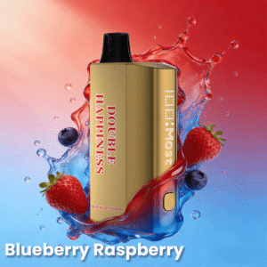 Double Happiness Hype 12000 Puffs Blueberry Raspberry Disposable Vape
