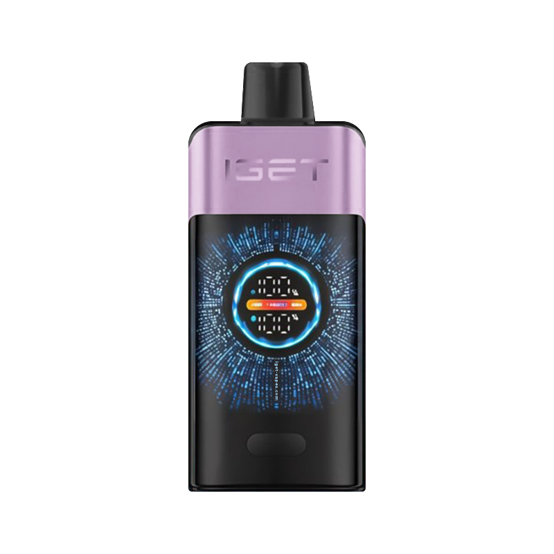 IGET One Mixed Berries Ice 12000 puff disposable vape