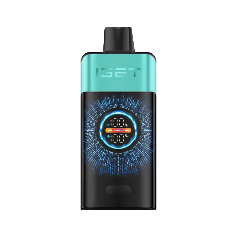 IGET One Mountain Spring Mint Ice 12000 puff disposable vape
